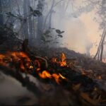 Conafor reporta mil 285 incendios forestales en 31 estados en lo que va del año