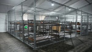 Sheinbaum confirma que hay 14 mexicanos en “Alligator Alcatraz”