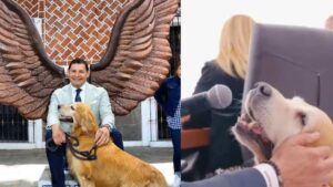 Perro del gobernador de Puebla tiene cargo oficial, programa de TV y “habla” en conferencias
