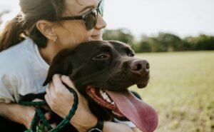 Aprueban custodia compartida de mascotas en caso de divorcio 