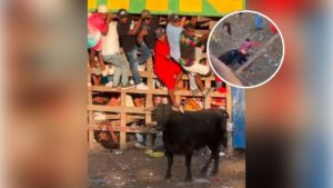 Hombre sufre cornada en el recto durante un evento taurino, terminó al borde de perder la vida