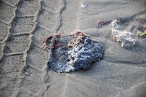 Fuga en oleoducto provocó derrame de crudo en el Golfo de México: Pemex