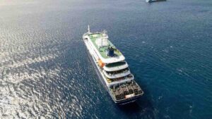 OMS descarta riesgo elevado por hantavirus en crucero con tres muertos