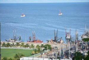 Pescadores de Campeche piden reforzar vigilancia ante inicio de la veda de camarón