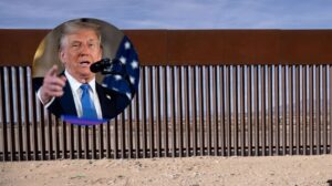 ¿México pagó el muro de Trump? Los millones detrás de su nueva frontera